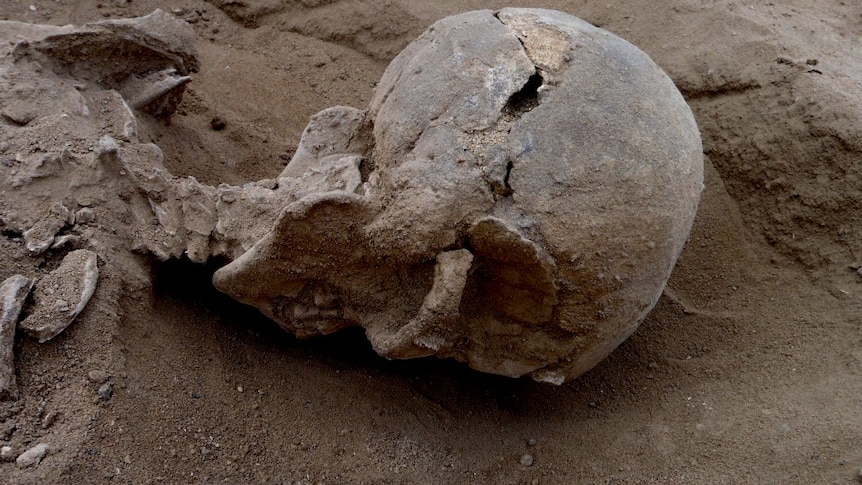 Skull of ancient man unearthed in Africa.