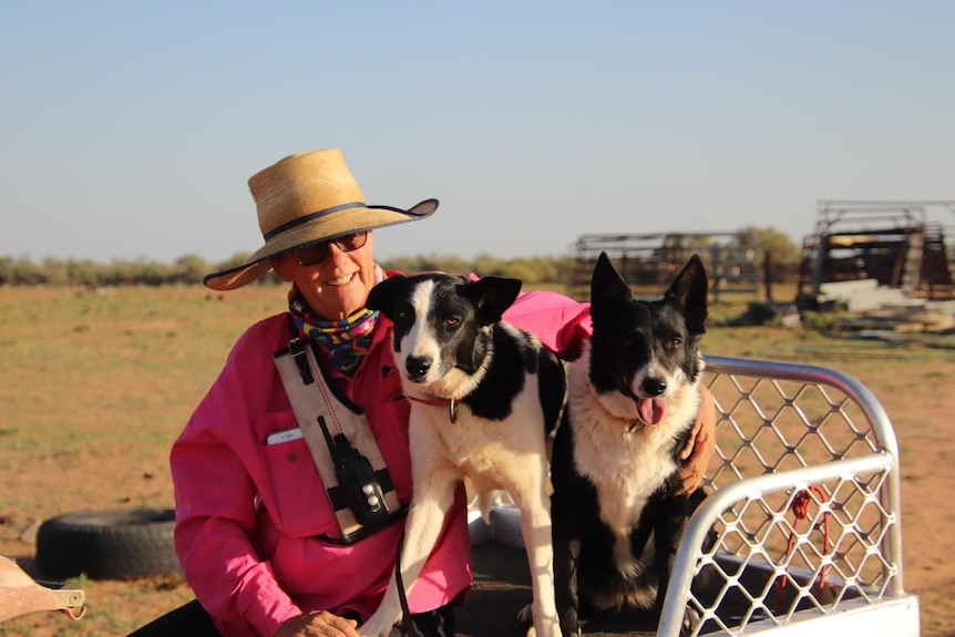 A lady in a bright shirt and a straw hat sits beside her black and white dogs .