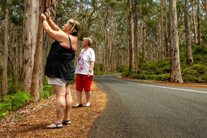 Two women stand on the side of a winding road. One of the women holds up a mobile phone to take a photo. Trees surround them.