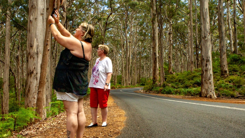 Two women stand on the side of a winding road. One of the women holds up a mobile phone to take a photo. Trees surround them.