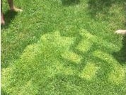 Screen grab of an Australian Map/Swastika combination displayed at an Australia Day party in Kalgoorlie.