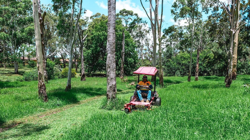 A man in high-vis cuts through long grass with a ride-on mower.