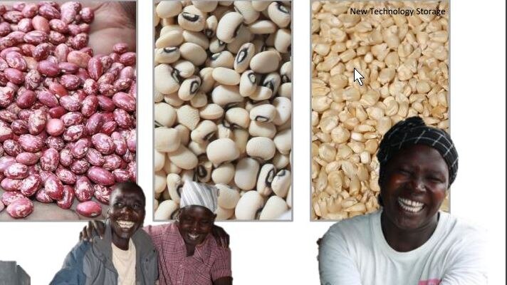 Beans and maize in good condition and happy African farmers