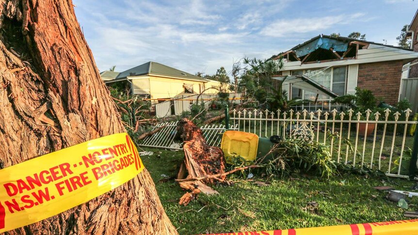 Trees have fallen on houses in Kurnell