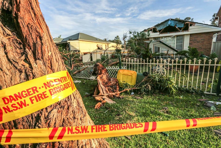 Trees have fallen on houses in Kurnell