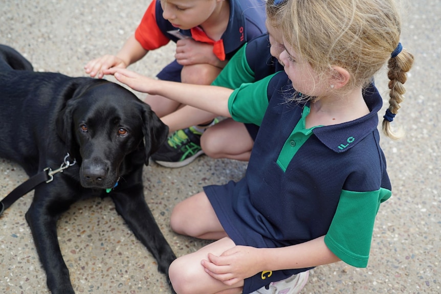 Black labrador sits beside young children who pat her gently