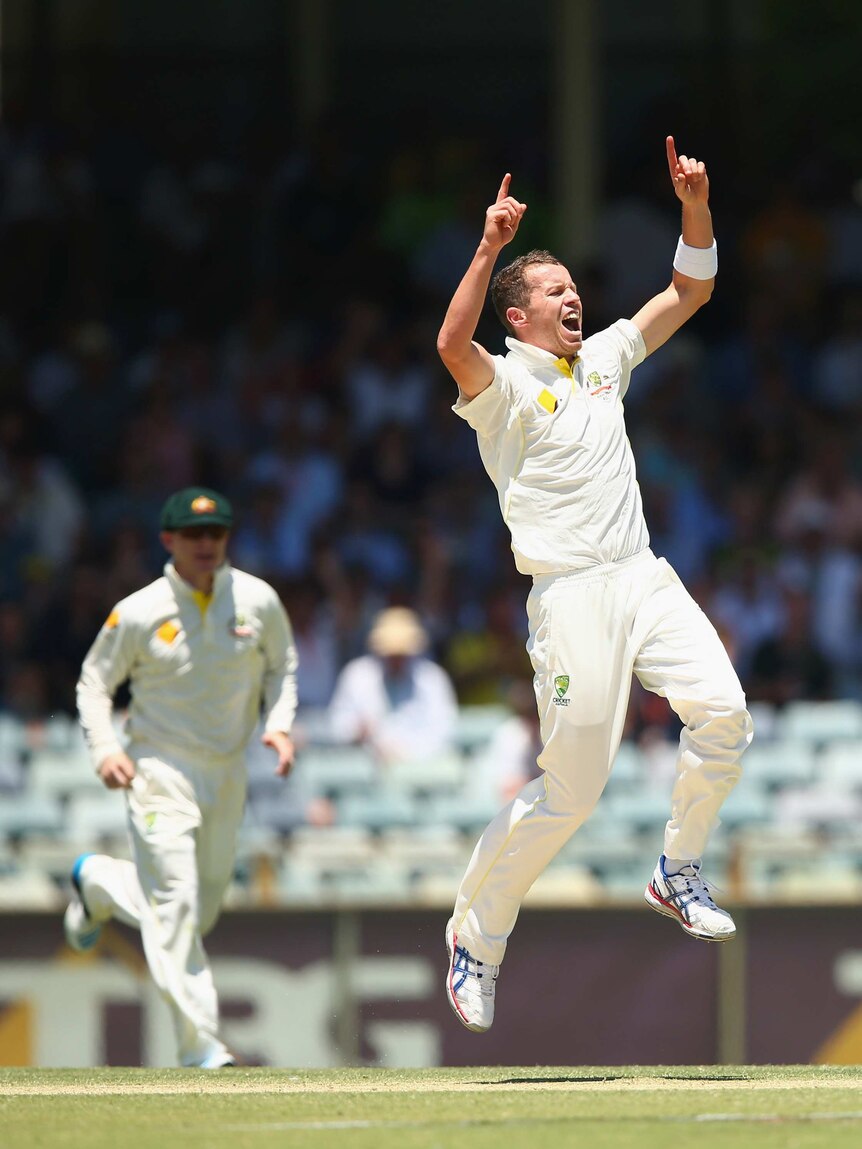 Siddle celebrates wicket of Prior