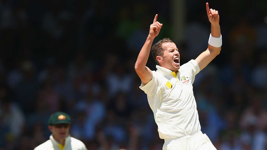 Siddle celebrates wicket of Prior