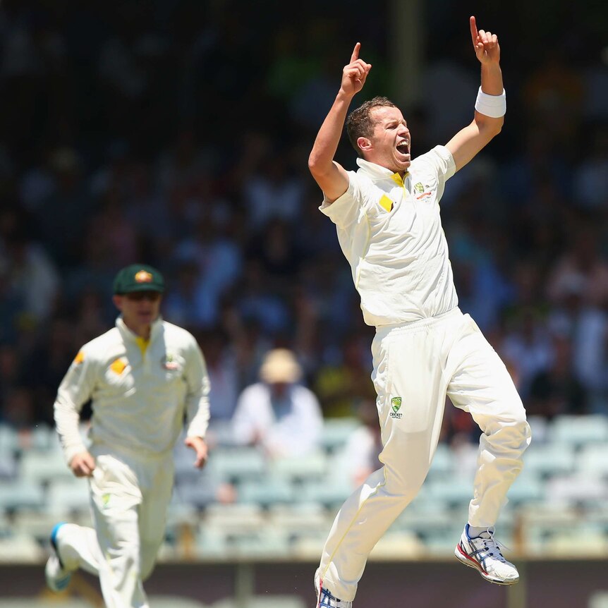 Siddle celebrates wicket of Prior