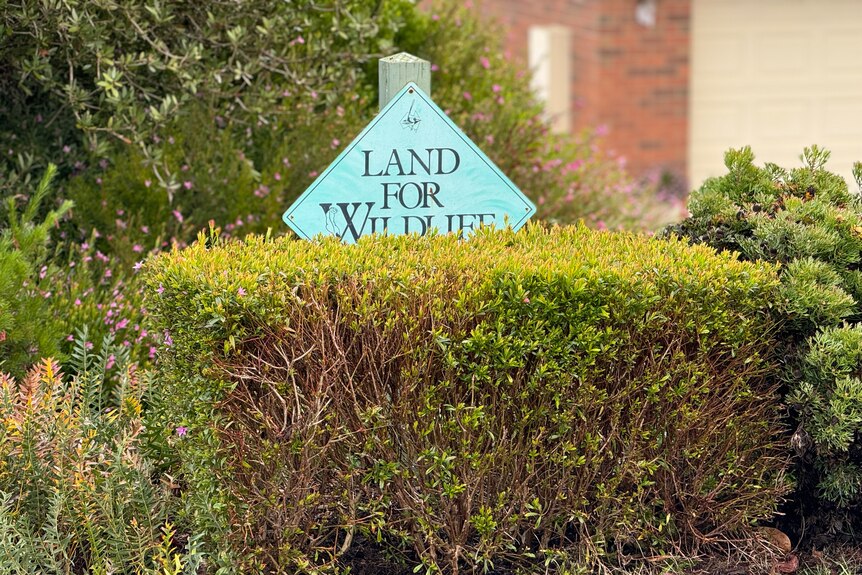 A "land for wildlife" sign sits in a hedge. 