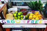 Vegetables and seedlings on the Myponga GrowFree cart.