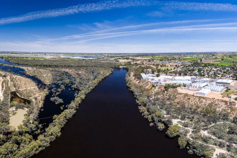 Murray River in flood