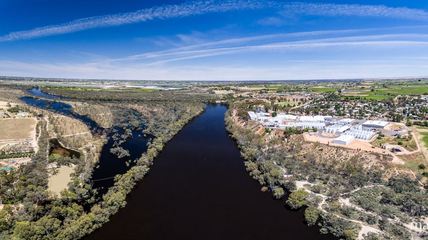 Murray River in flood