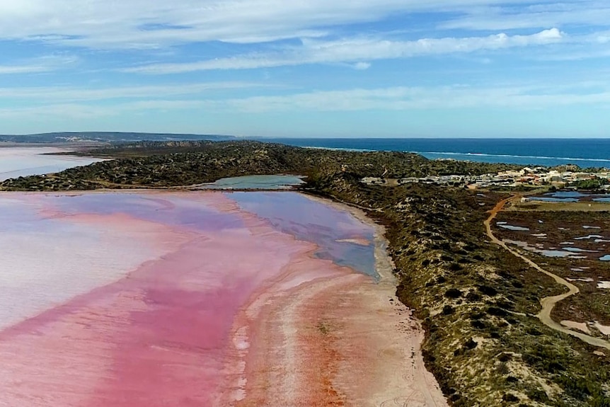 Vibrant salmon-pink lake sits next to grassy sand dunes about 300m from vivid blue ocean.