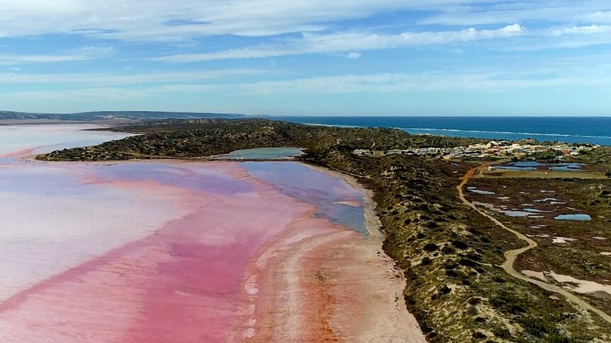 Vibrant salmon-pink lake sits next to grassy sand dunes about 300m from vivid blue ocean.