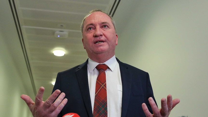 Barnaby Joyce holds his hands in the air as he addresses media inside Parliament House