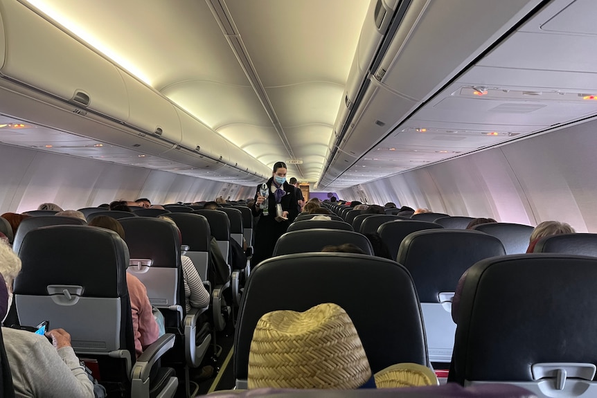 People seated on a plane. 