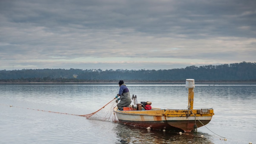 A fisherman reels in a net on a lake.