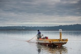 A fisherman reels in a net on a lake.