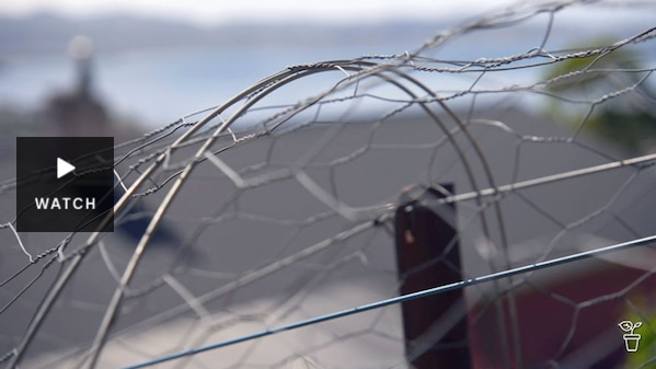 Wire bent over in an arch at the top of a fence. Has Video.