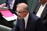 Scott Morrison