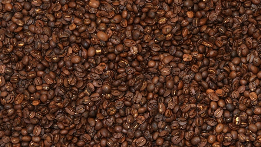 Search a cup of Australian coffee a tall order with low production numbers - ABC News