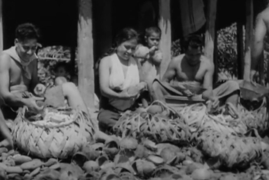A black and white archival image of a woman cutting up coconut flesh in Samoa.