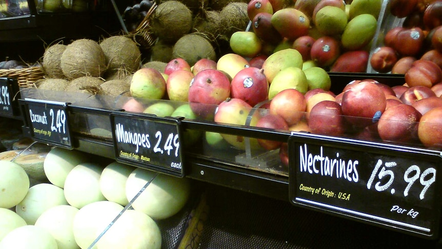 Supermarket shelf in New Zealand with imported coconuts, mangoes and nectarines
