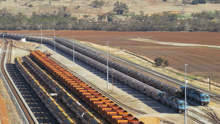 trains and wagons parked at a train depot with country landscape backdrop