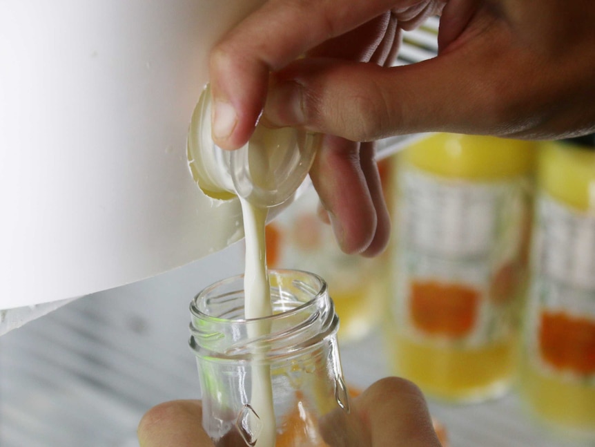 Milk flows into the glass bottle.