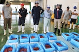 Brokers check whale meat in containers before its auction in Taiji, western Japan.