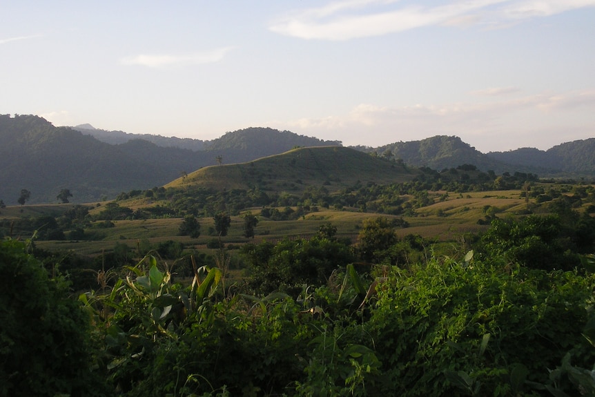 Une large photo montre des collines verdoyantes, des champs et des arbres sur l'île de Sumbawa, en Indonésie.