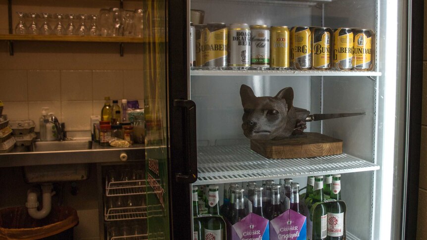 The wax tiger head in the bar fridge at the Great Lake Community Centre.