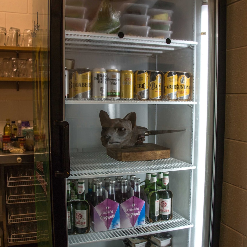 The wax tiger head in the bar fridge at the Great Lake Community Centre.