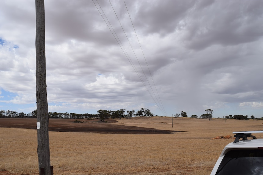 Power lines stretching across a paddock, with fire damage directly underneath.