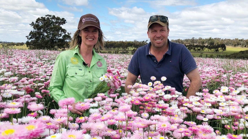 Jenny and Rob Egerton-Warburton in a paddock of flowers