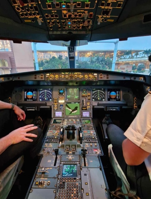A willie wagtail painting pictured in an aeroplane's cockpit.