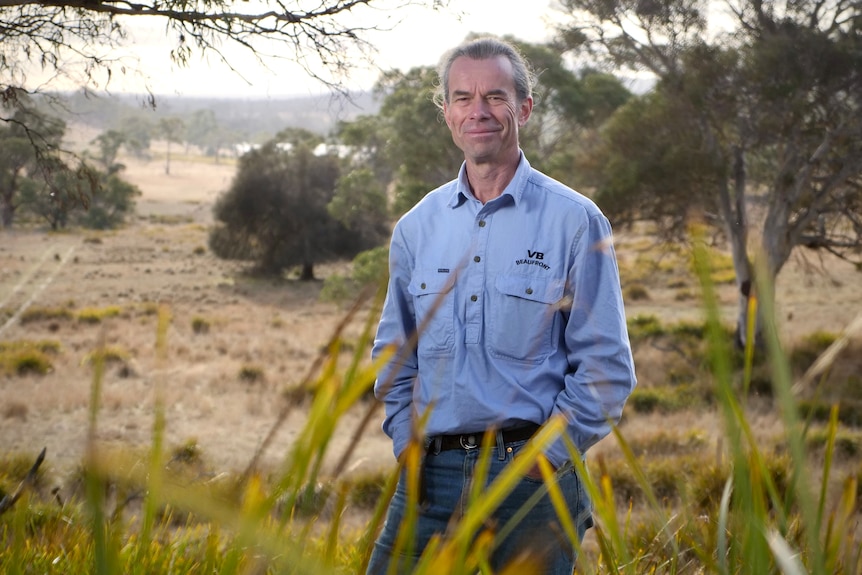 man standing in farmland