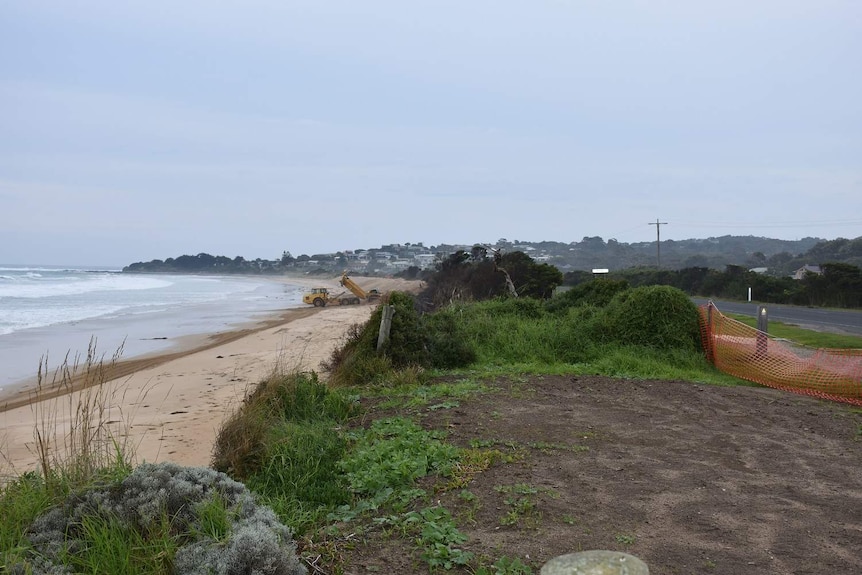 A truck moves sand on Marego beach along Victoria's Great Ocean Road.