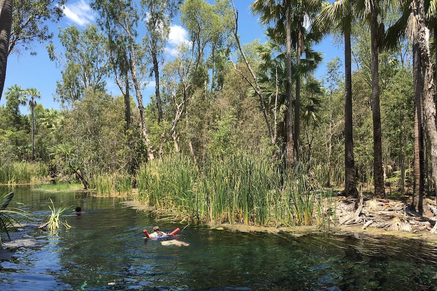 A girl swims at Bitter Springs