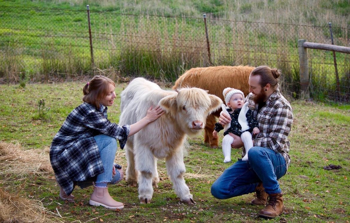 A young man, his female partner and their small baby with a brown fluffy highland calf and a white calf.