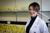 Dr Paola Magni is a forensic entomologist with a particular interest in maggots and flies