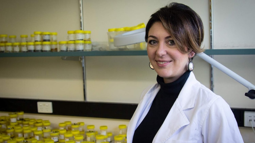 Dr Paola Magni is a forensic entomologist with a particular interest in maggots and flies