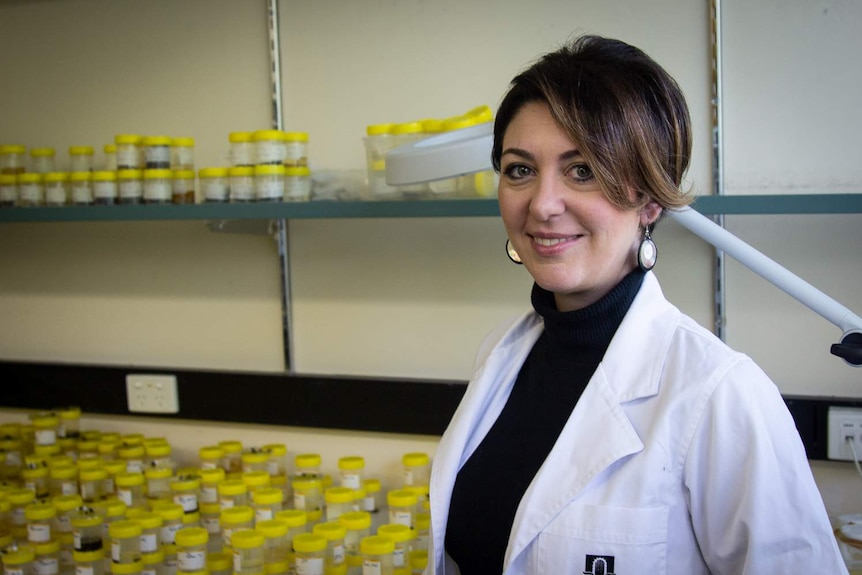 Dr Paola Magni is a forensic entomologist with a particular interest in maggots and flies
