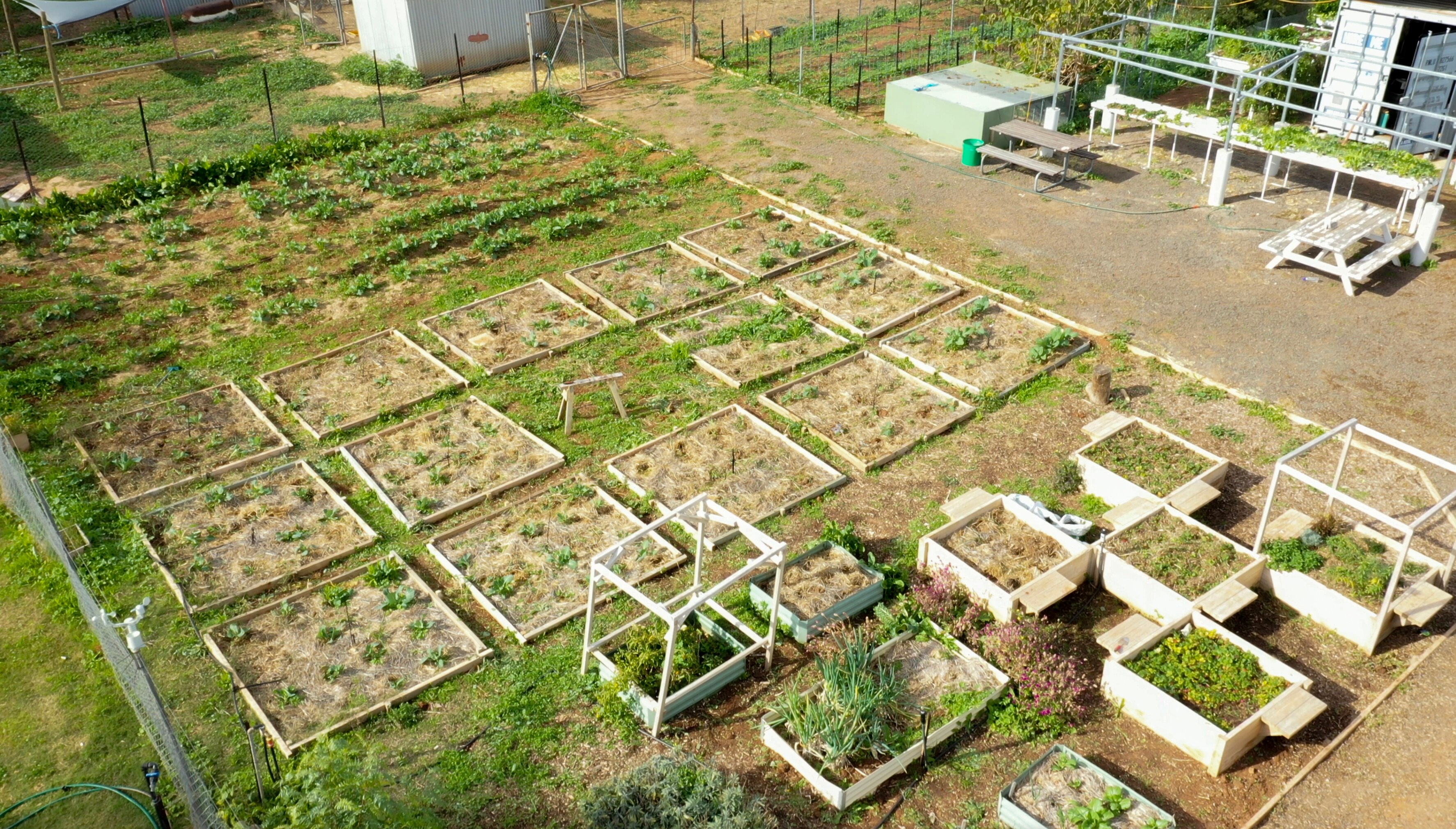 Ivanhoe Central School wins national Landcare award for sustainable