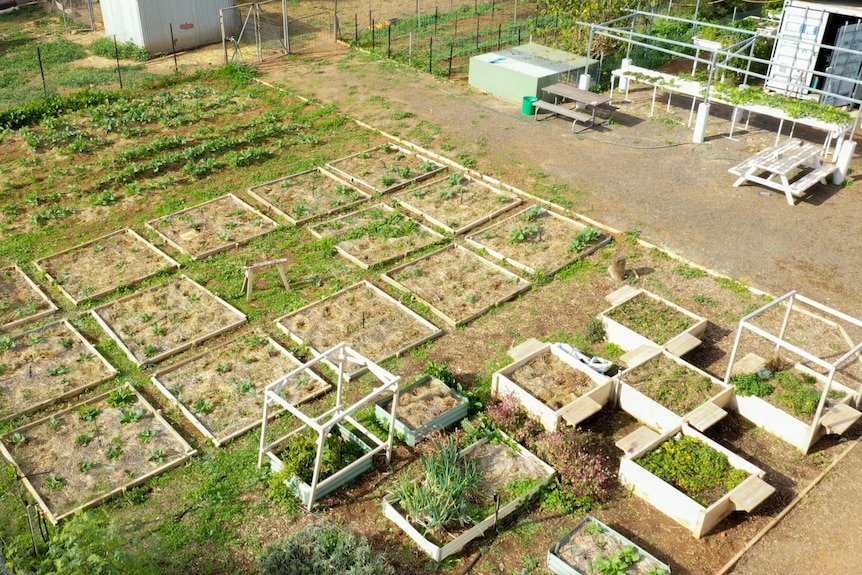 An aerial drone shot of the Ivanhoe Central School garden. 