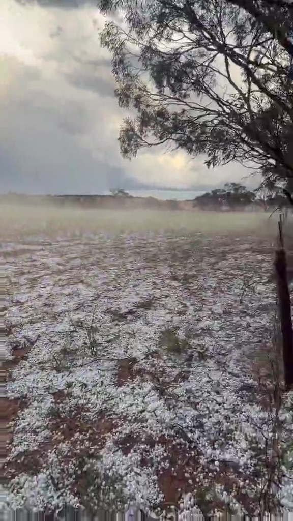 Paddocks covered in a layer of hailstones