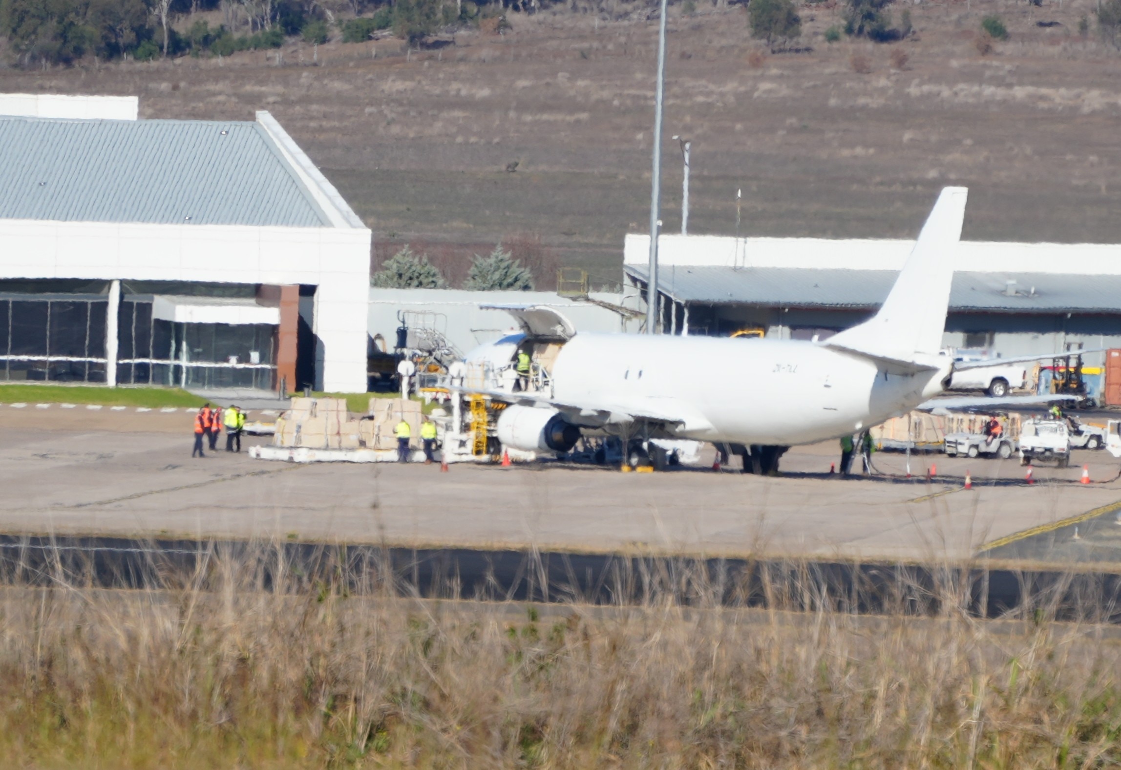 A second plane of greyhounds lands in Qld after New Zealand racing ban