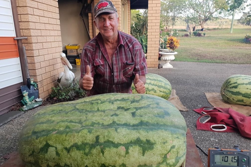 A man gives two thumbs up standing behind a giant watermelon that reaches his hips