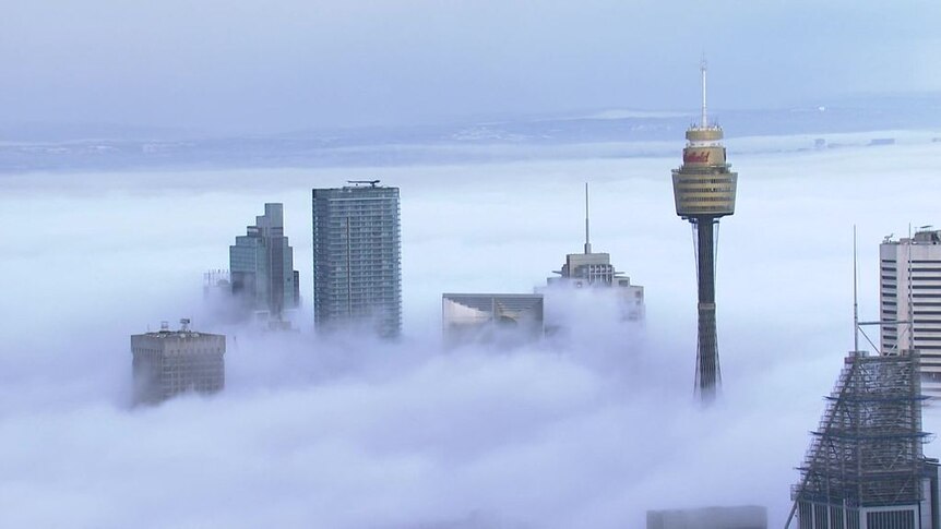 Sydney Shrouded In Thick Layer Of Fog In The Morning Abc News